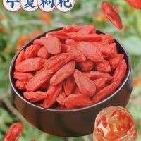 新疆和田大枣