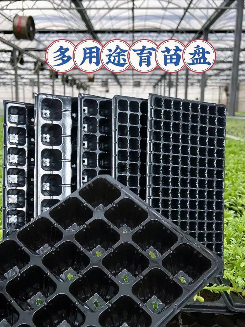 蔬菜育苗盘