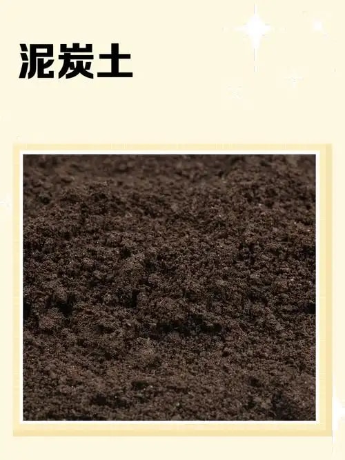 peat泥炭