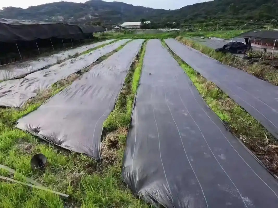 防草布