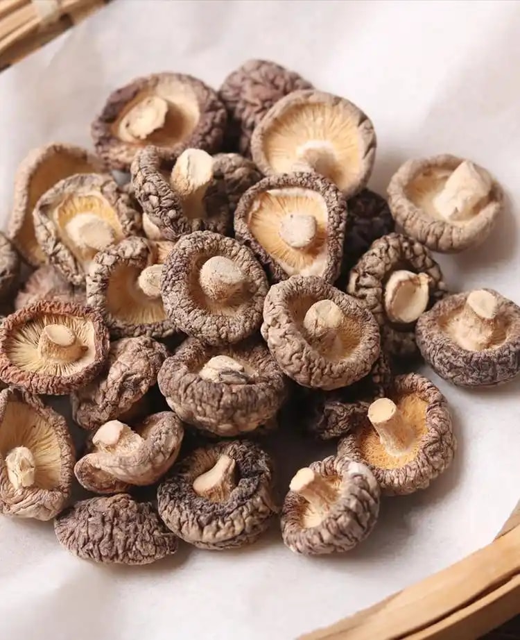 香菇干批发