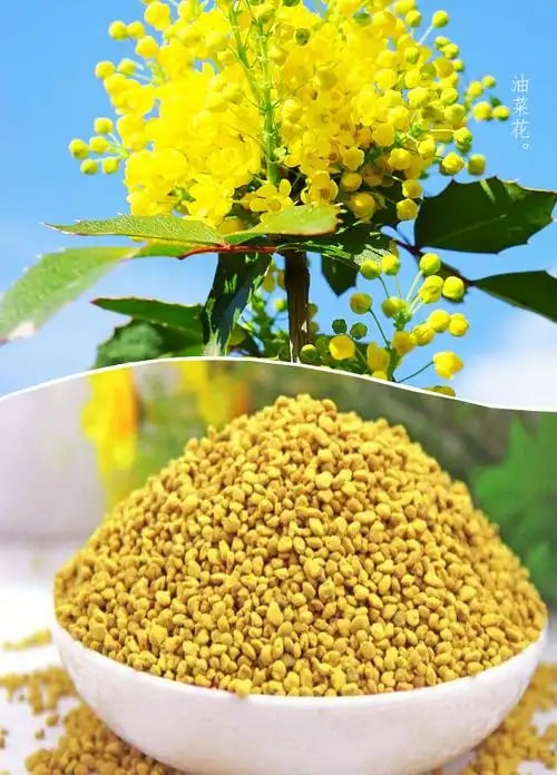 花粉制品