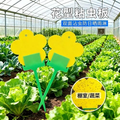 诱虫板