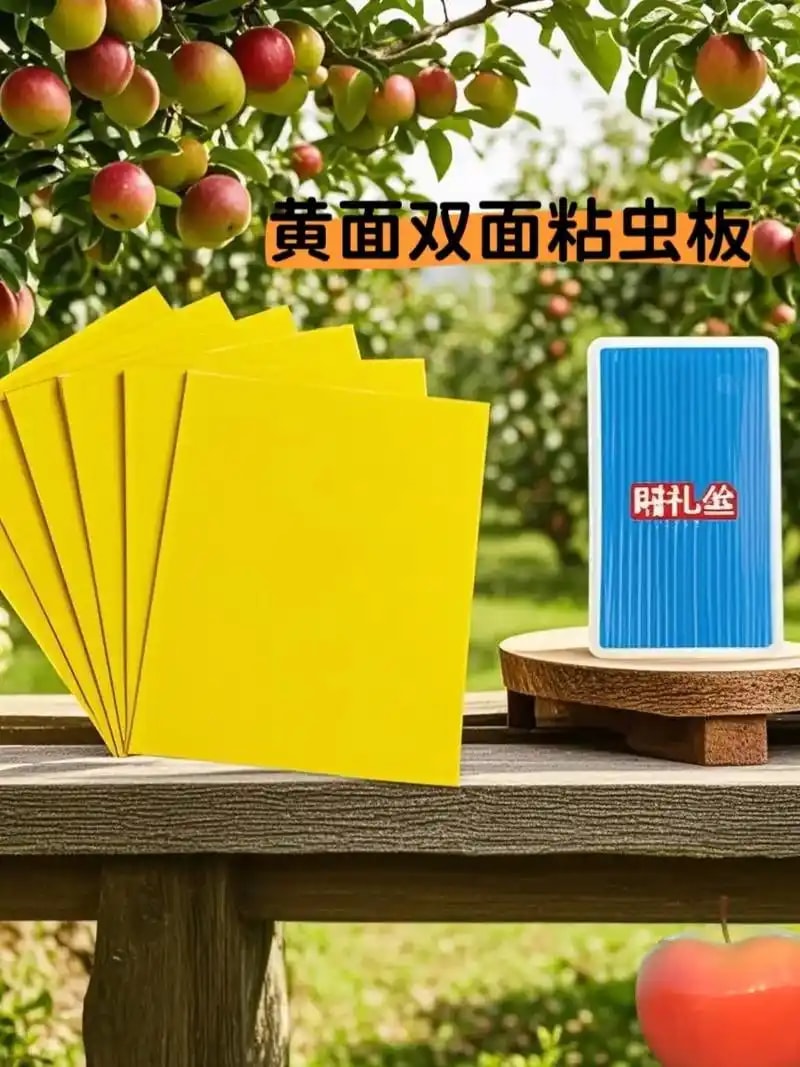 粘虫板