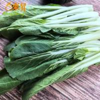 绿色认证土鸡蛋