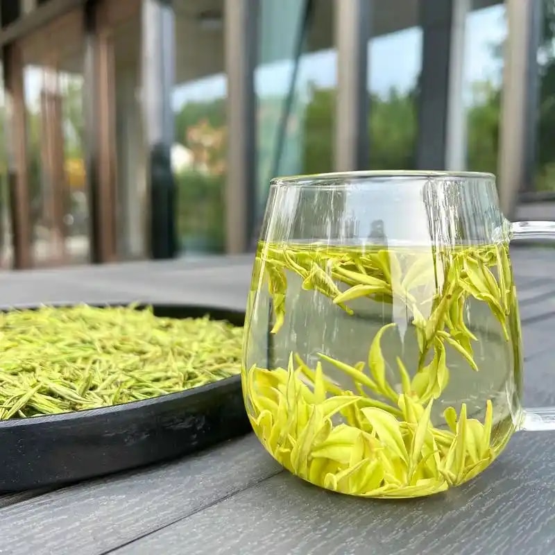 安吉白茶