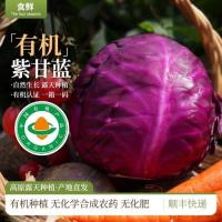 有机小白菜