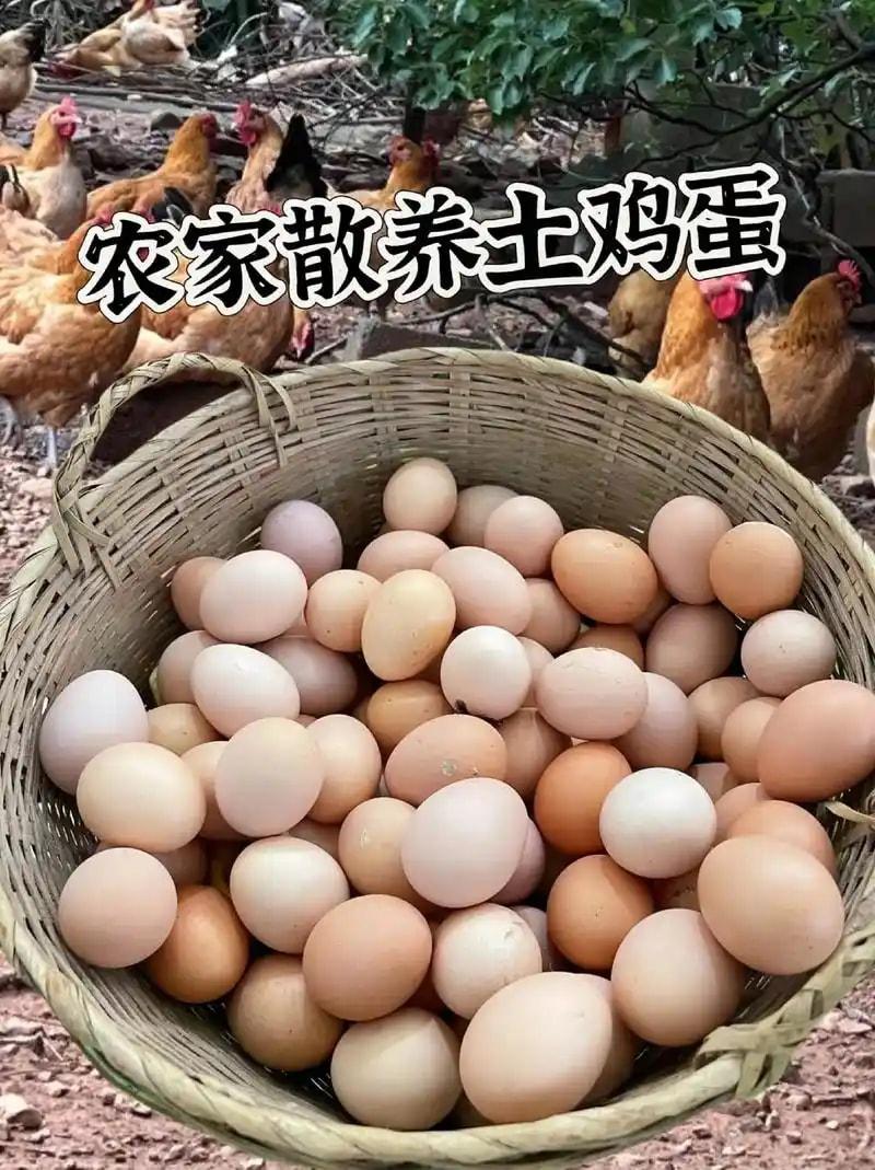 散养土鸡蛋