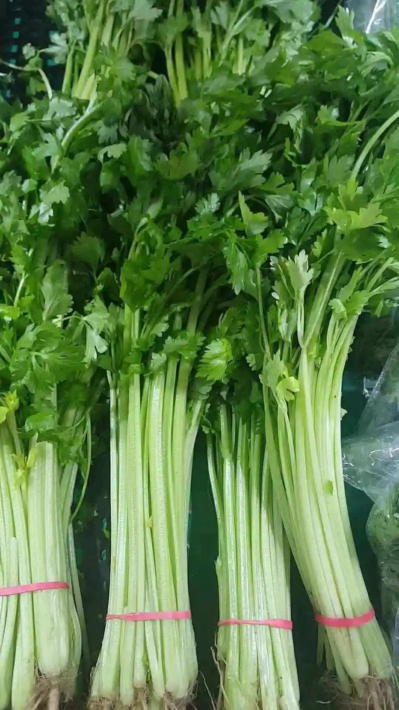 新鲜芹菜