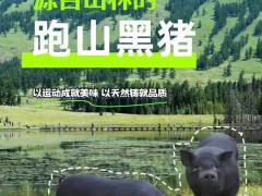 区域农特产品牌与产销对接（第14期）