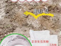 一乡一品助力乡村振兴（第19期）