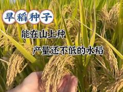 智慧农业装备自动化峰会2026