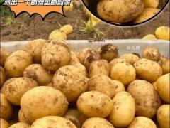 一乡一品推介活动2026