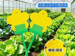 有机绿色农产品市场趋势（第5期）