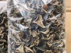 求购种子种苗 2600件