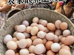 新品种新技术推广与市场对接（第2期）